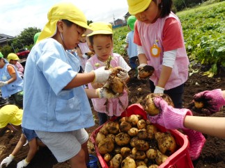 ���Ⴊ�����@��