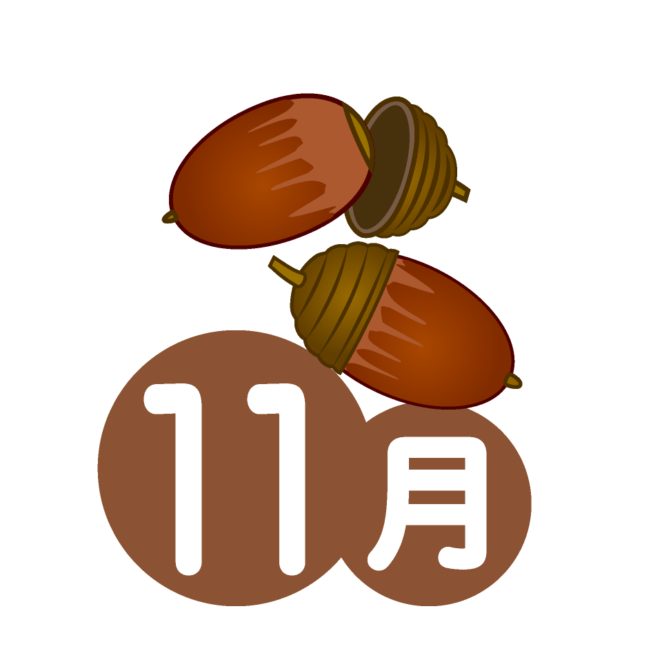 11��